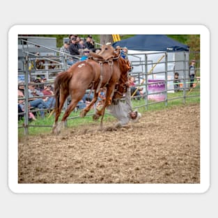 RODEOS, HORSES, COWBOYS Sticker